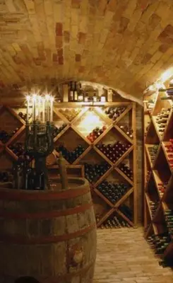 a wine cellar with a bunch of wine bottles at Casita rural con piscina in La Torre de Claramunt