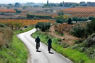 two people riding bikes down a road at Ca l'Helena in Castellet