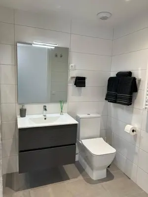 a bathroom with a toilet and a sink and a mirror at Confortable habitación doble - 1 in Sant Adria de Besos