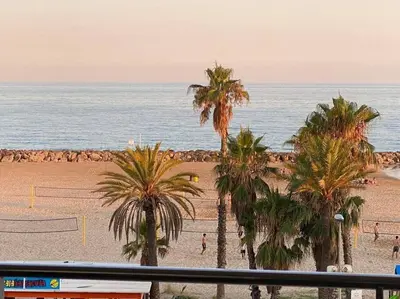 a view of a beach with palm trees and the ocean at Cunit, front line with sea view in Cunit