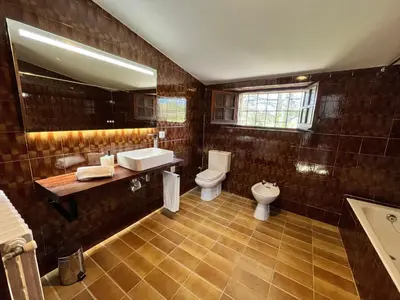 a bathroom with a toilet and a sink and a mirror at Cal Poldo in Marganell