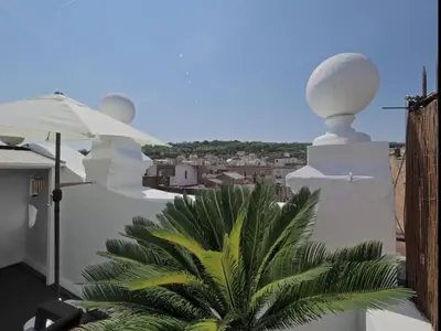 a view from the balcony of a house with a palm tree at Apolo RoofTop Barcelona in Barcelona