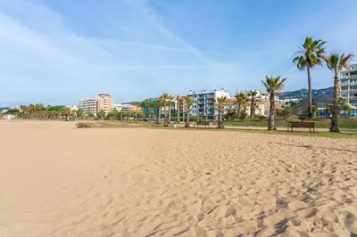 a sandy beach with palm trees and a bench at Hauzify I Apartament Ponent in Pineda de Mar