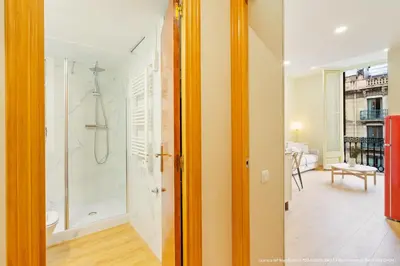 a bathroom with a shower and a walk in shower at Flateli Pelayo H6 in Barcelona