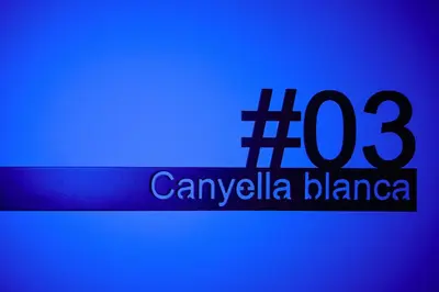 a blue sign with the words canville flannel at Dormsy Pension Boutique in Arenys de Mar