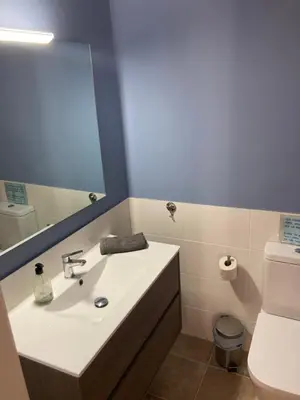 a bathroom with a sink and a mirror and a toilet at Casa con vista y jardín, a 20' de la playa in Sant Cebrià de Vallalta