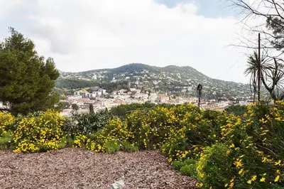 a view of a city from a field of flowers at Wonderful house in the mountains with sea views in Cabrils