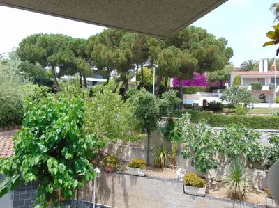 a garden with plants on a brick wall at Basketball court, pool, BBQ, gardens, seaviews in San Pol de Mar