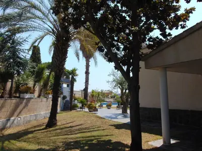 a group of palm trees next to a building at Basketball court, pool, BBQ, gardens, seaviews in San Pol de Mar