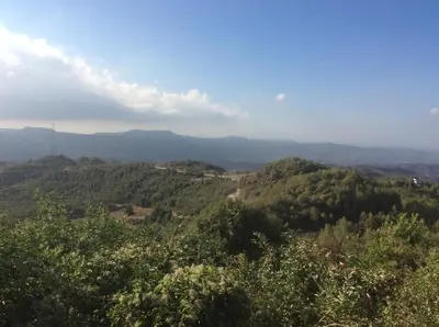 a view from the top of a mountain with trees at El Celler de la Guàrdia in Montserrat
