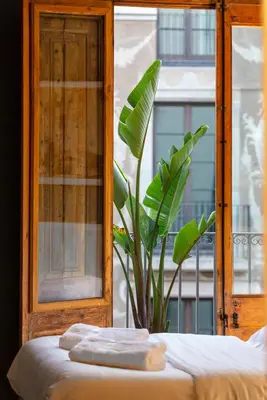 a window with a plant and towels on a bed at Hostal Sol y K in Barcelona