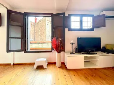 a living room with a tv and a vase with a plant at Barcelona Old Town attic near Catalunya square in Barcelona