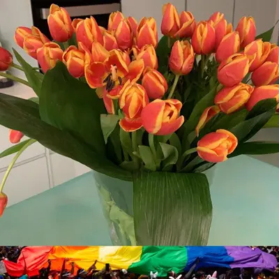 a vase of orange tulips sitting on a table at Lemon Tree GuestHouse in Tiana