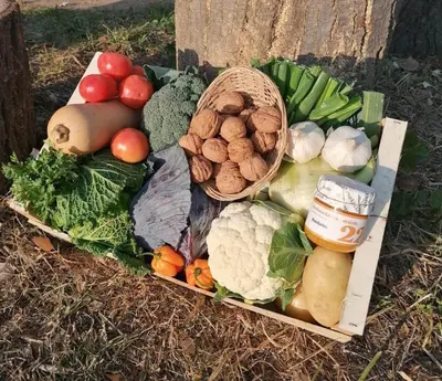 a bunch of vegetables in baskets on the ground at Lemon Tree GuestHouse in Tiana