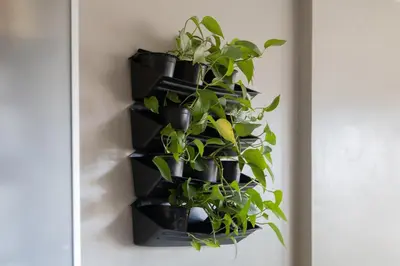 a bunch of plants in black pots hanging on a wall at Aparteasy - Bright, large and central apartment in BCN in Barcelona