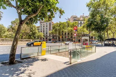 a bus stop on a city street with a tree at Canela Homes BARCELONA DIPUTACIÓ in Barcelona