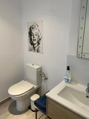 a white bathroom with a toilet and a sink at LOFT CAL XURIGUER in Font-Rubí