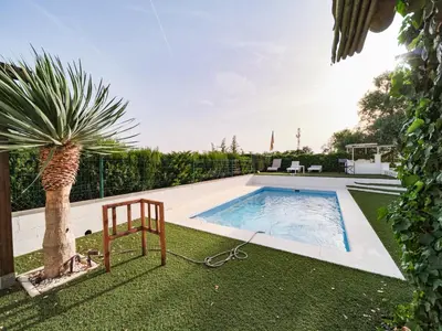 a swimming pool in a yard with a palm tree at Villa Elena in Pineda de Mar