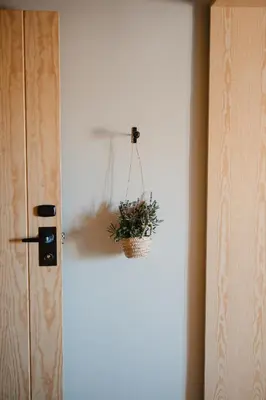 a plant in a basket hanging on a wall at Hotel-Masia Can Farrés in El Bruc