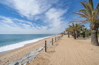 a sandy beach with palm trees and the ocean at HomeHolidaysRentals Bluemar-Costa Barcelona in Pineda de Mar