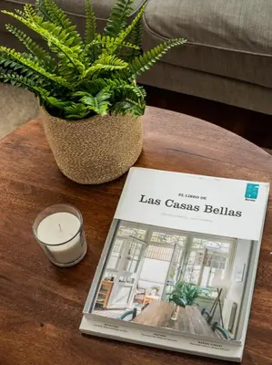 a book on a table next to a potted plant at Homing Barcelona 101 in Hospitalet de Llobregat