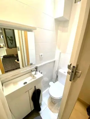 a bathroom with a toilet and a sink and a mirror at 017 New of love 3 1 in Barcelona