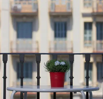 a potted plant sitting on a table on a balcony at Bruc & Bruc in Barcelona