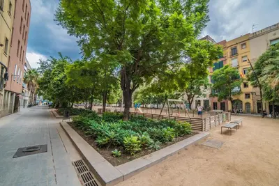 a park with benches and trees on a street at Welcomy Born in Barcelona