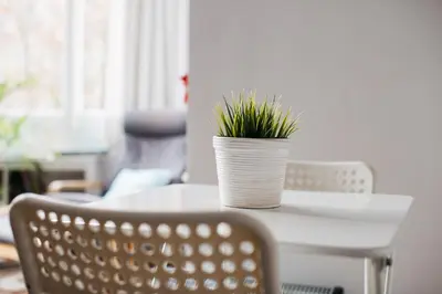 a white table with a potted plant on it at Hostal Eixample in Barcelona