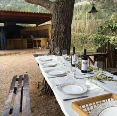 a long white table with wine glasses and a tree at La Ginesta Rural, cerca de Sitges in Canyelles