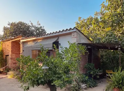 a brick house with a tree in front of it at L'ESTABLE DE CAN TABERNER in Bigues i Riells