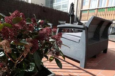 a plant in a pot next to a bench at Amra Barcelona Gran Via in Barcelona