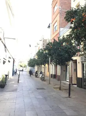 an empty city street with trees and buildings at 1201 - Encantador Apartamento en Poble Nou in Barcelona