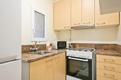 a kitchen with a stove top oven next to a sink at Alcam Baro 22 in Barcelona
