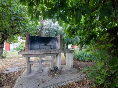 a bench sitting under a tree in a park at Can Teulera in San Martín Sarroca