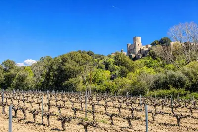a field of vines with a castle in the background at Catalunya Casas Modern Hilltop Haven with private pool 7km to beach in Castellet