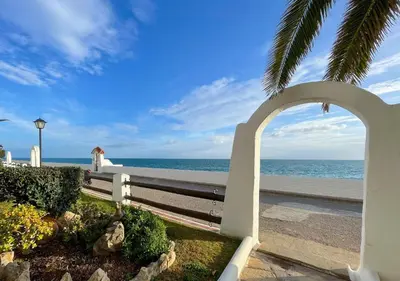 a park bench overlooking the ocean with a palm tree at Apartment Raco in Vilanova i la Geltrú