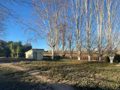 a group of trees and a building in a field at La Geneta Casa Vacacional in Vilobi Del Penedes