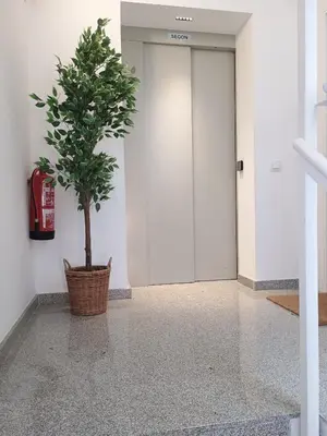 a potted tree in a hallway next to a door at StayCampNou Studio with Balcony in Hospitalet de Llobregat