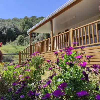 Holiday home in Calella de la Costa 3641