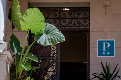 a plant in front of a door with a parking sign at Verdi 254 in Barcelona