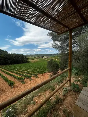 a view of a vineyard from a pergola at Apartamento Gerimar - Gelida/Bcn in Gélida
