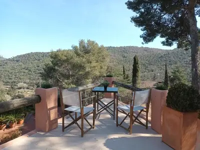 a pot of purple flowers sitting on the ground at vistas y relax 126m privados con piscina No cocina in Costa del Maresme