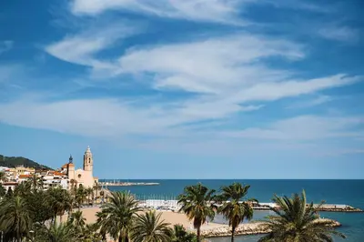 a view of a beach with palm trees and the ocean at Sitges Views in Sitges