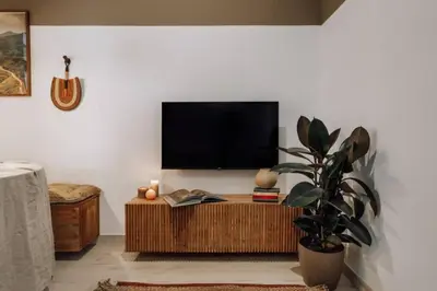 a living room with a flat screen tv and a potted plant at Zioba - 3 bedroom and balcony in Gracia in Barcelona