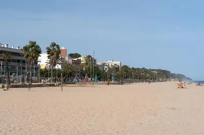 a beach with a bunch of palm trees and buildings at Luxury villa next to the beach in Canet de Mar