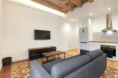 a living room with a couch and a tv at Comfortable apartment next to Apolo theater in Barcelona