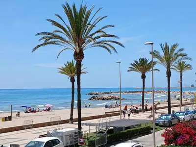 a view of a beach with palm trees and the ocean at Primera linea in Cunit