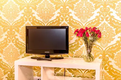a tv sitting on a table with a vase of flowers at Apartaments Ciutat Vella in Barcelona