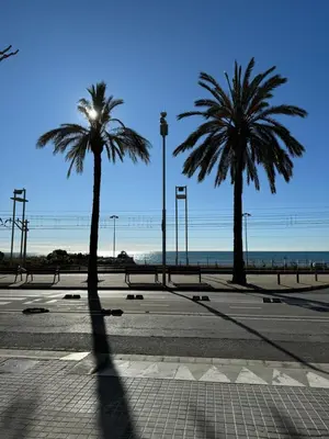 two palm trees on a street with the ocean in the background at Apartamento de una habitación con terraza grande cerca de Barcelona in Badalona